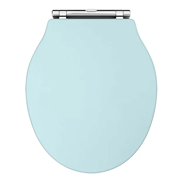 Old London Ryther Duck Egg Blue Wooden Soft Close Toilet Seat - Image 2