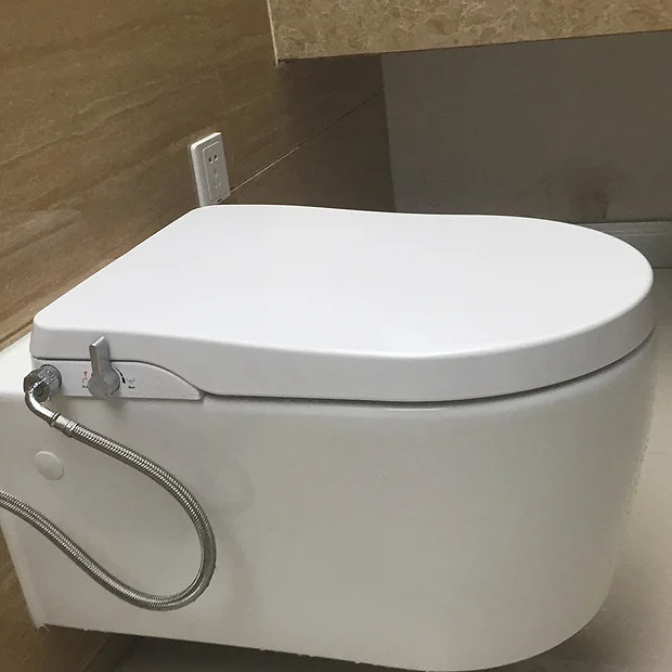 RAK Manual Non-Electric Bidet Function Soft Close Toilet Seat - Image 4